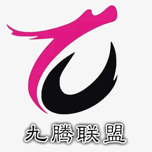 天貓店群 怎么做 需要多少錢(qián) 能賺錢(qián)嗎 九騰用數(shù)據(jù)來(lái)告訴你